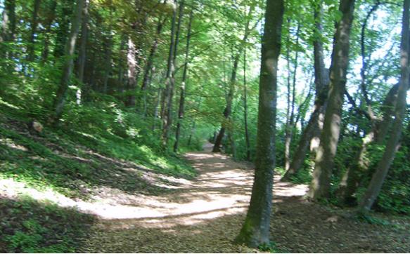 Promenade