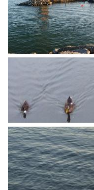 Superposition