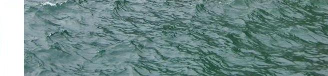 vagues complexes