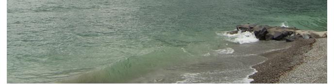 Vagues dchanes