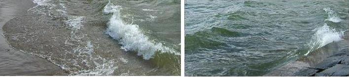 Vagues mourrant sur la plage